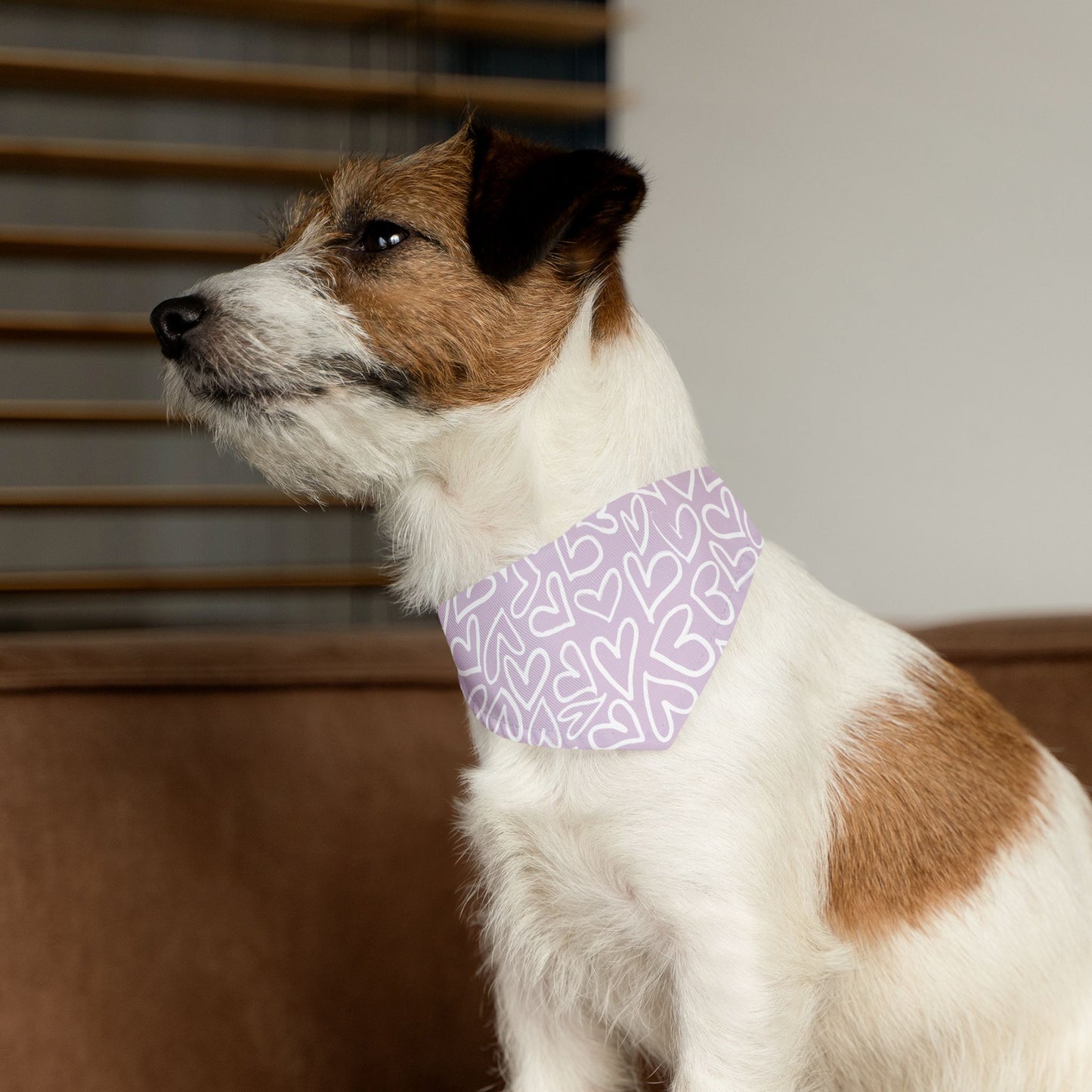 Bandana Collar