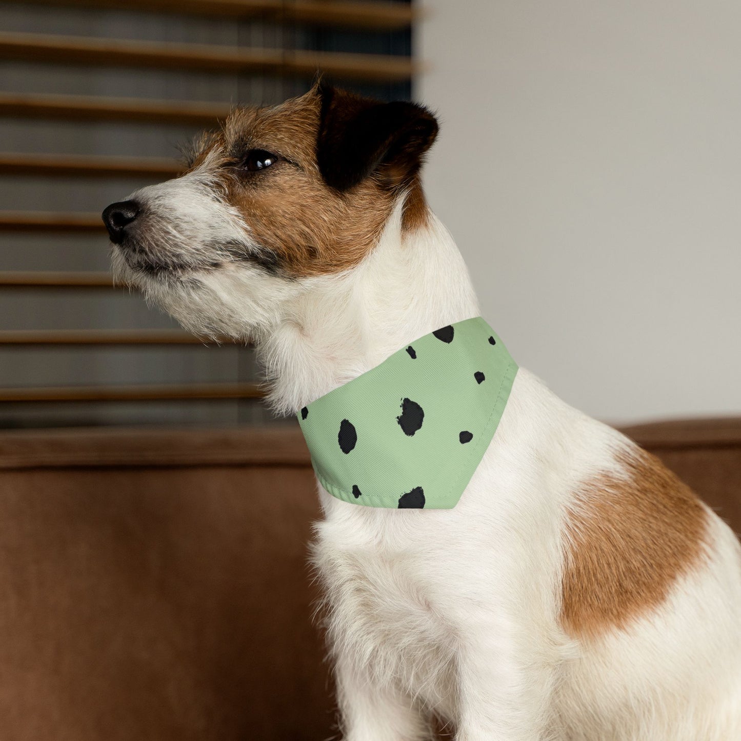 Bandana Collar