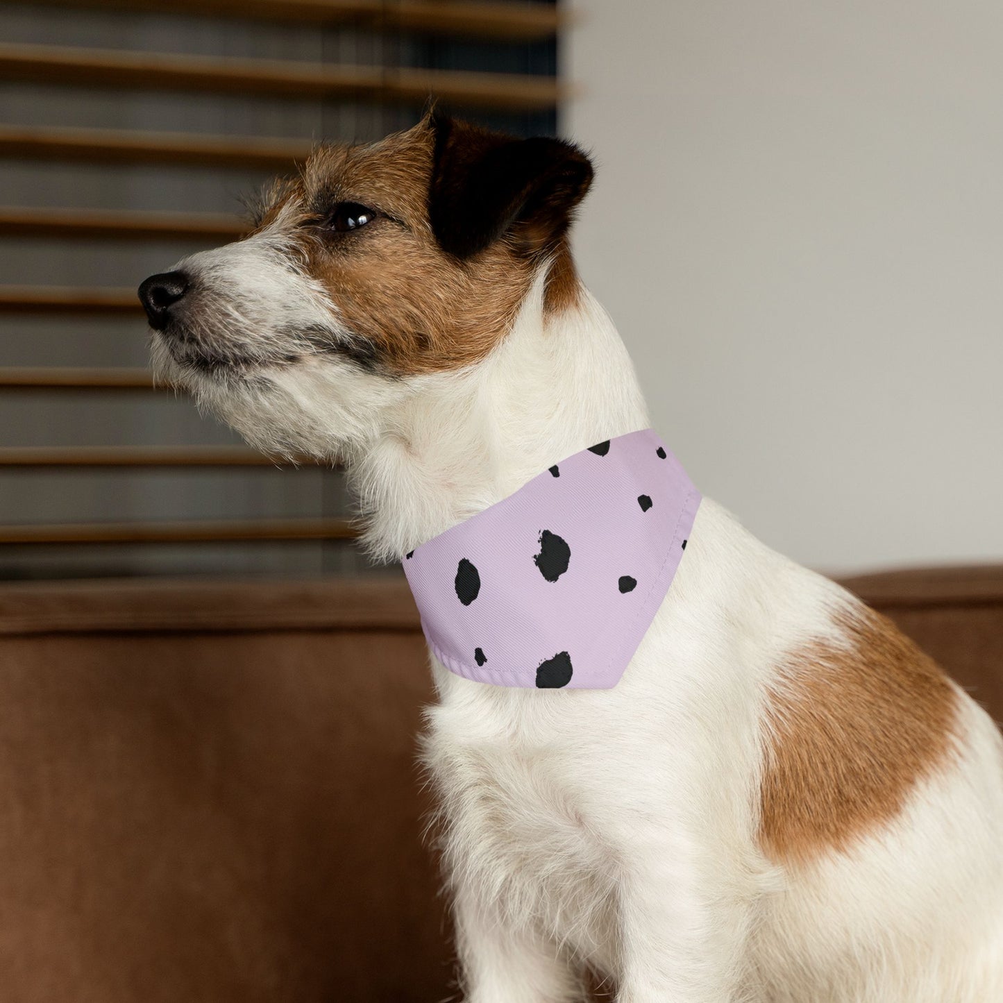 Bandana Collar