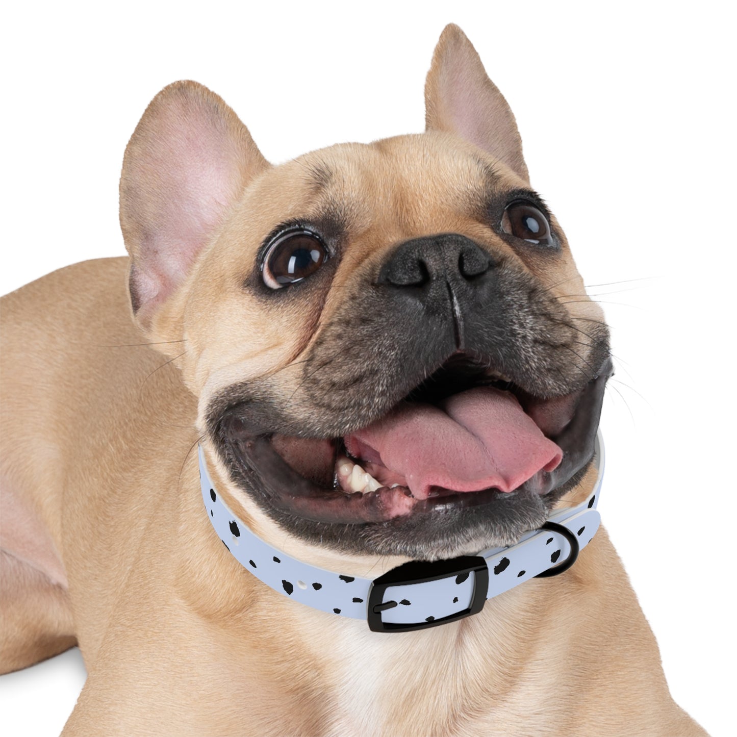 Dog Collar