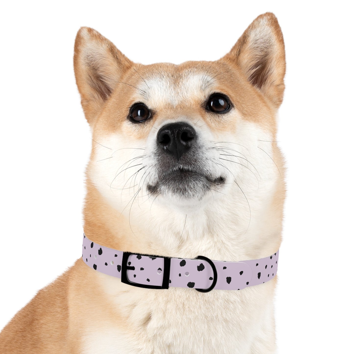 Dog Collar