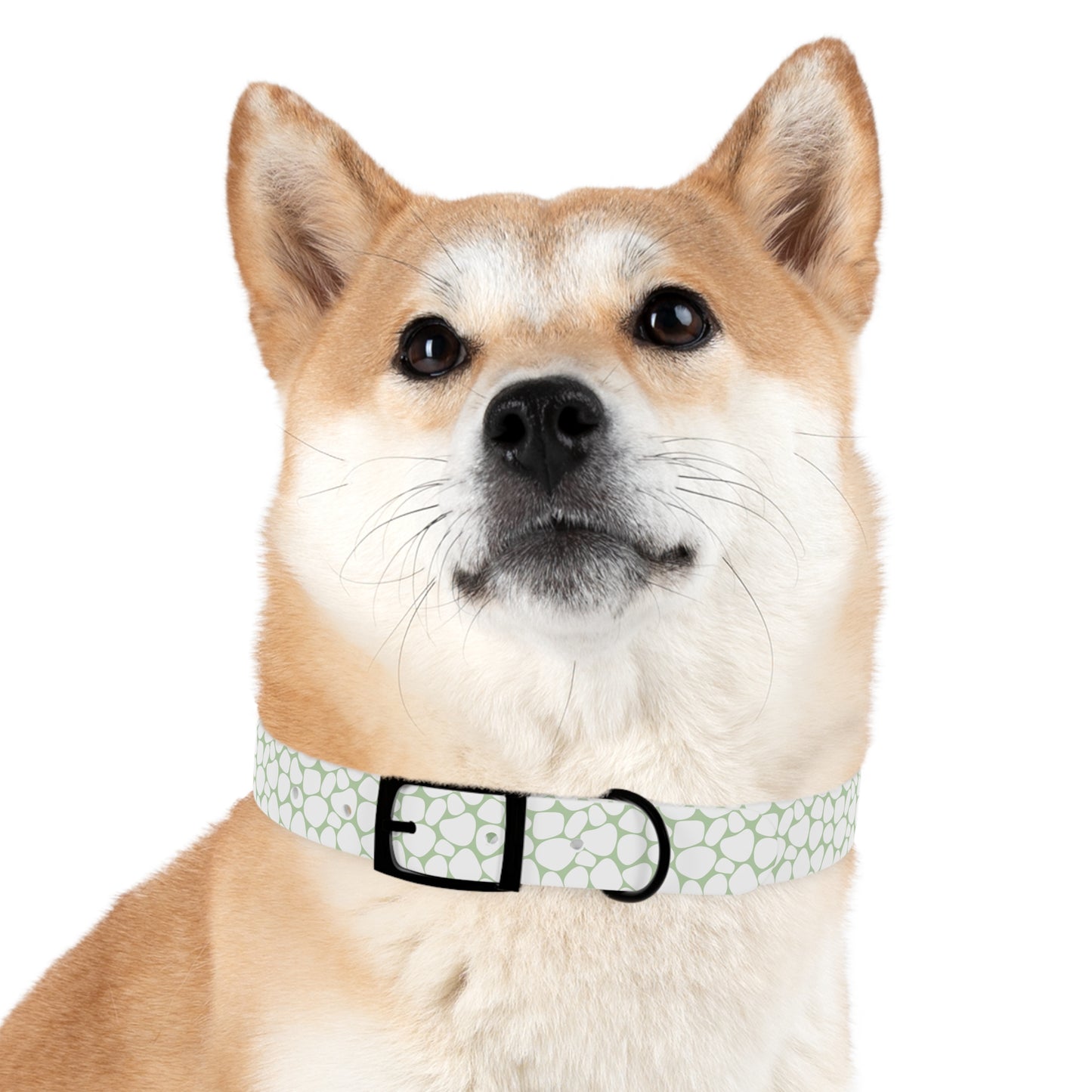 Dog Collar