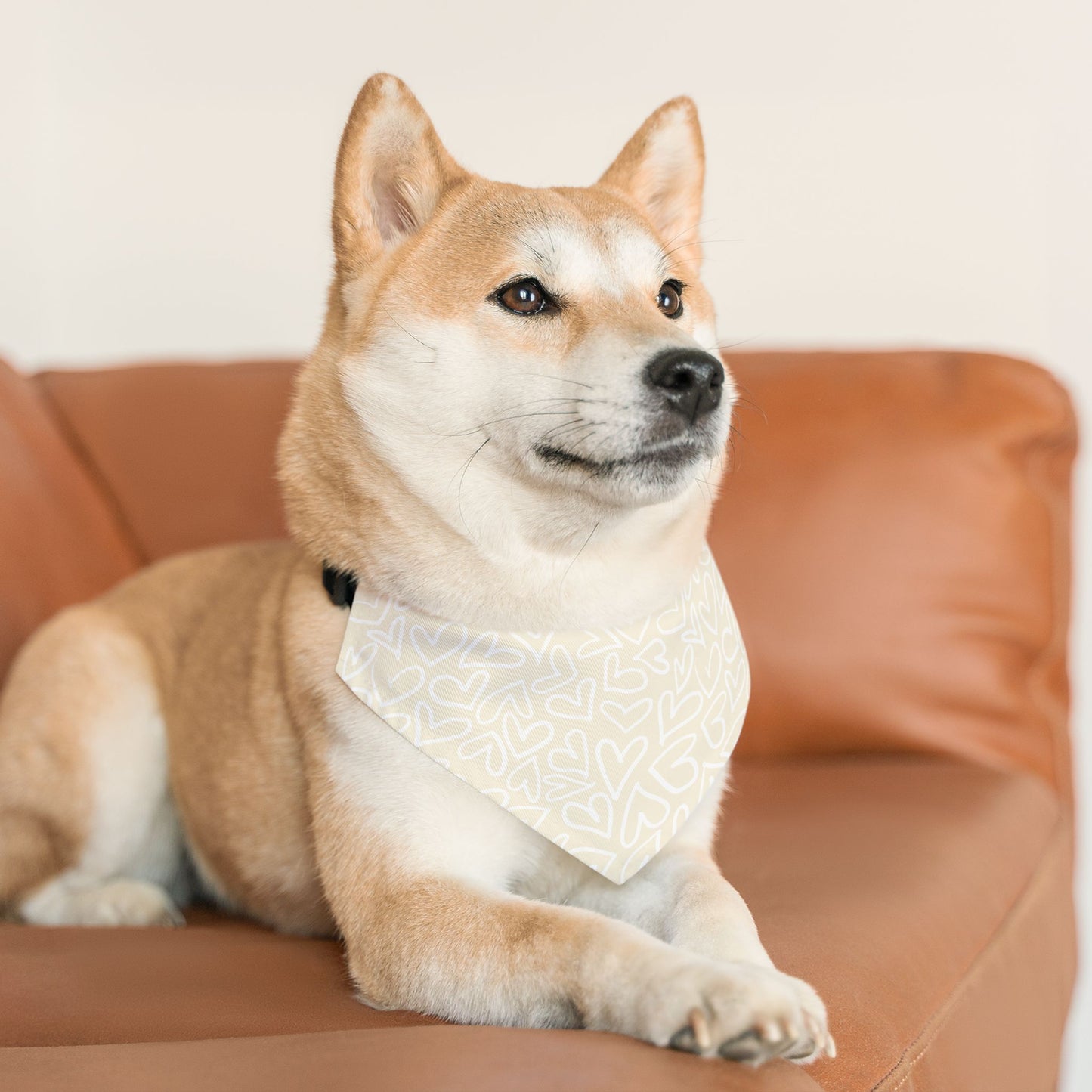 Bandana Collar