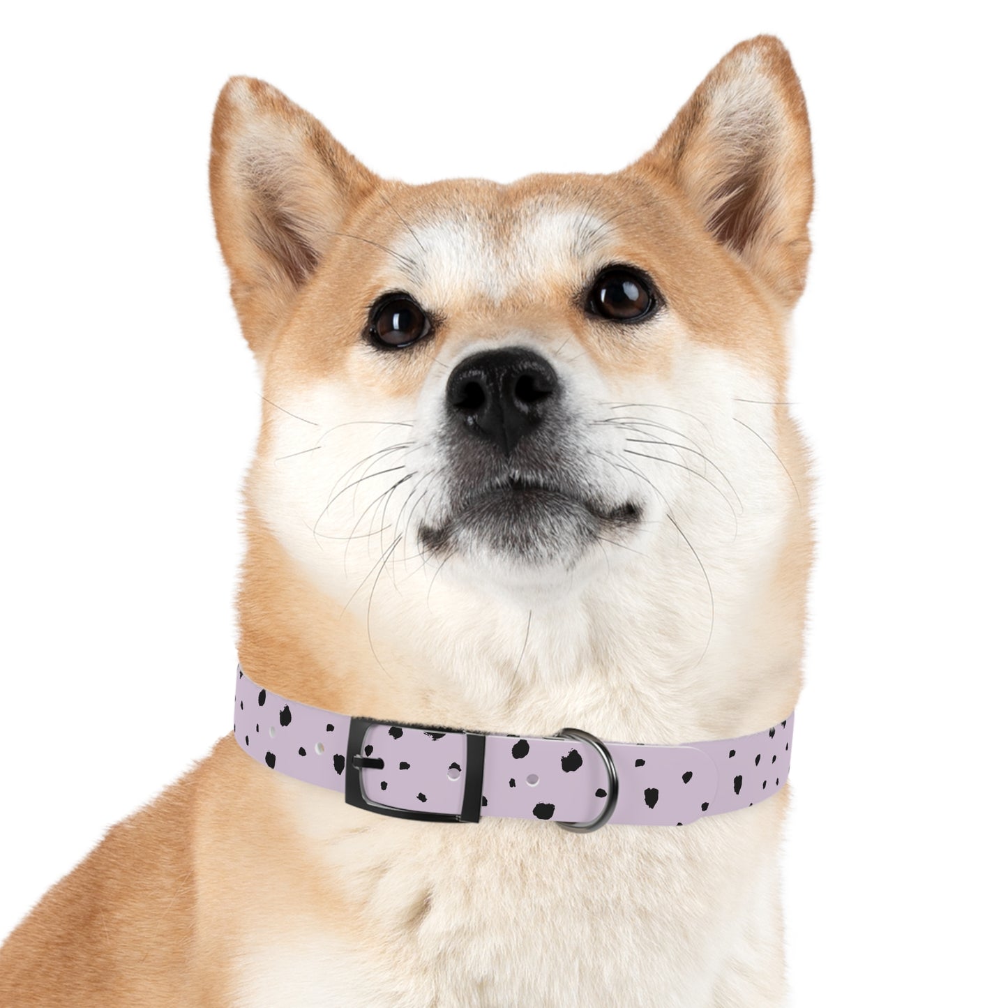 Dog Collar