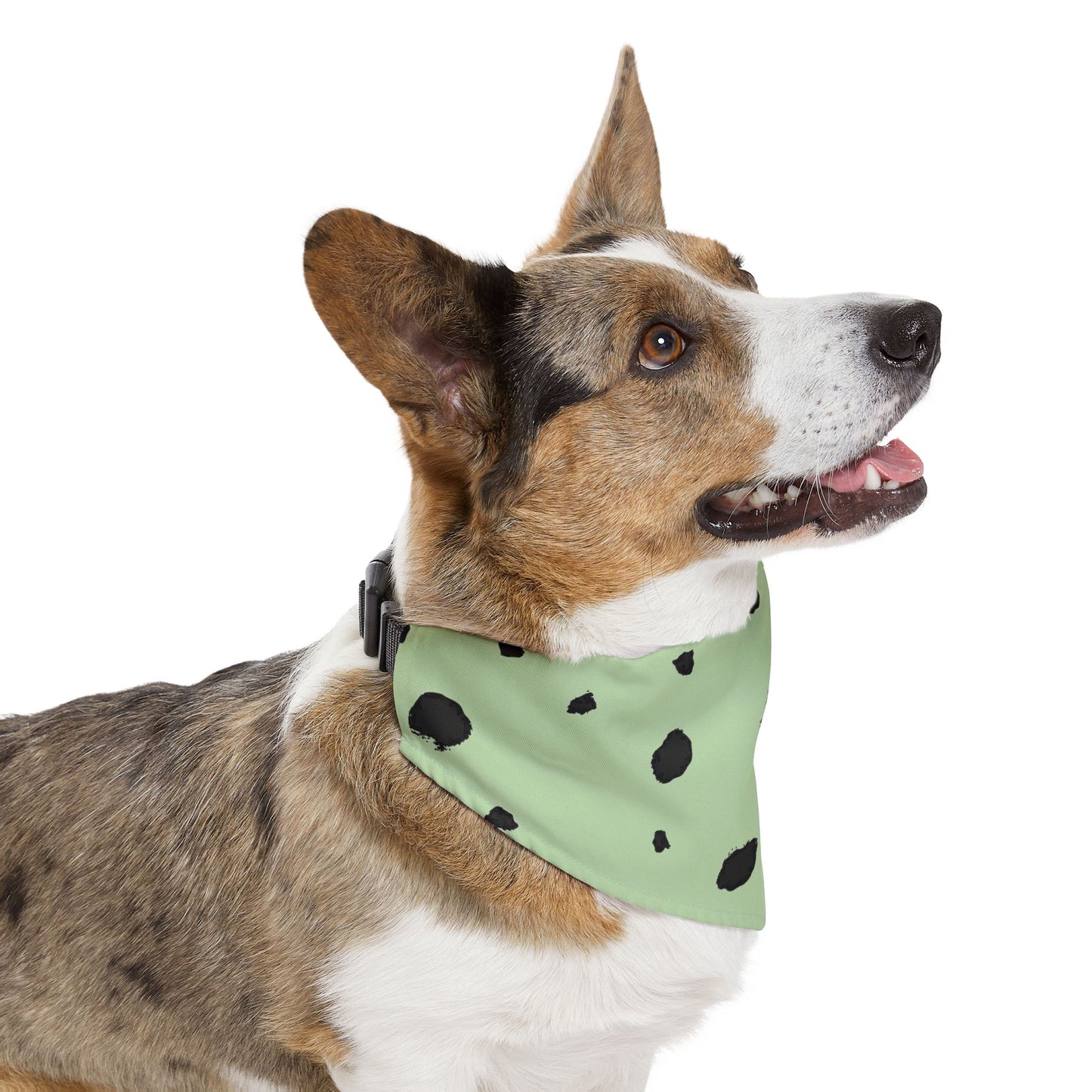 Bandana Collar