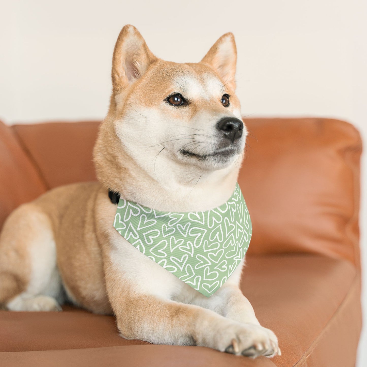 Bandana Collar