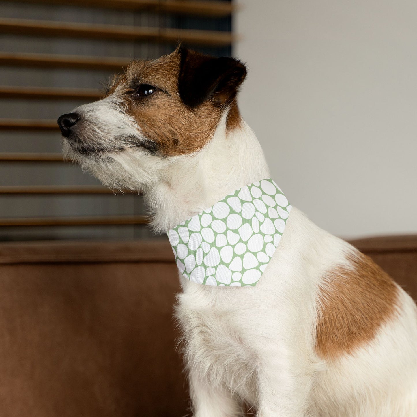 Bandana Collar