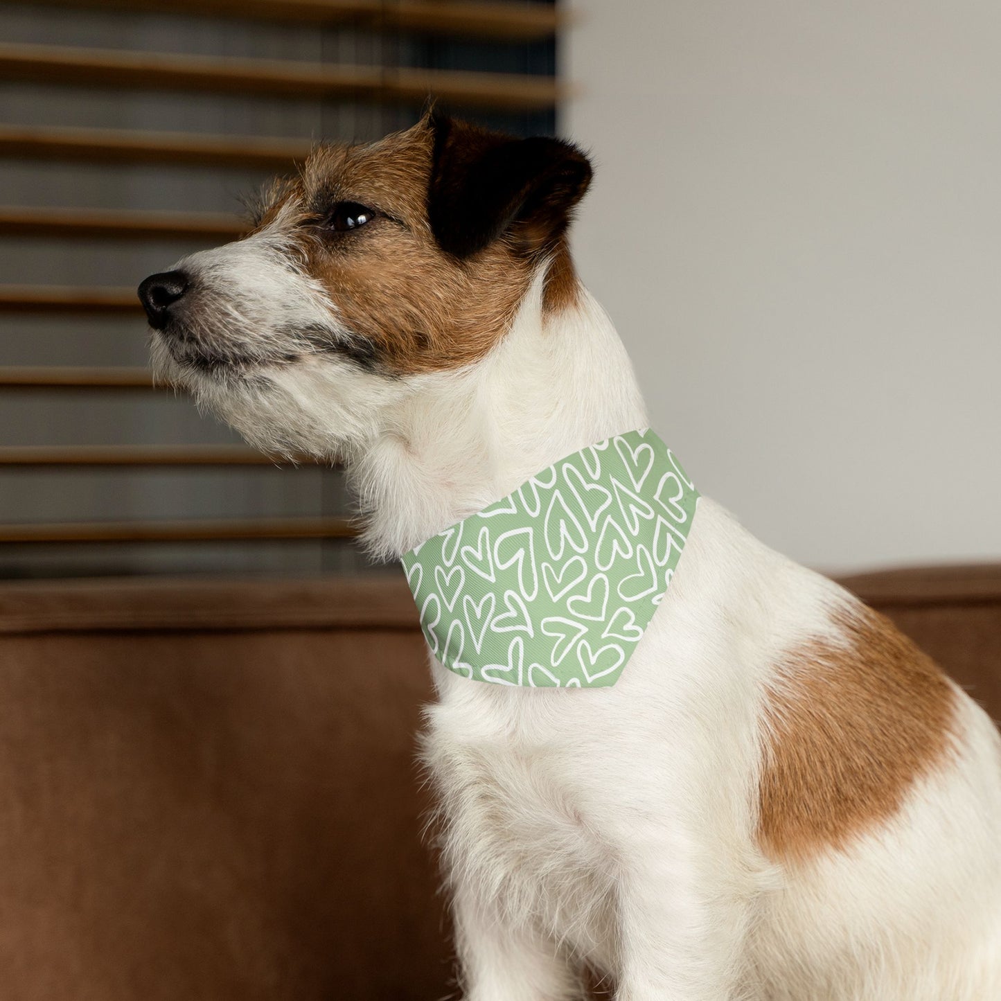 Bandana Collar