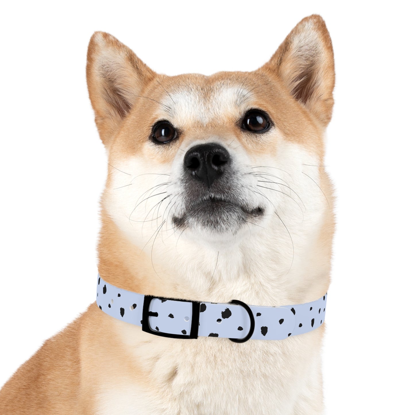 Dog Collar