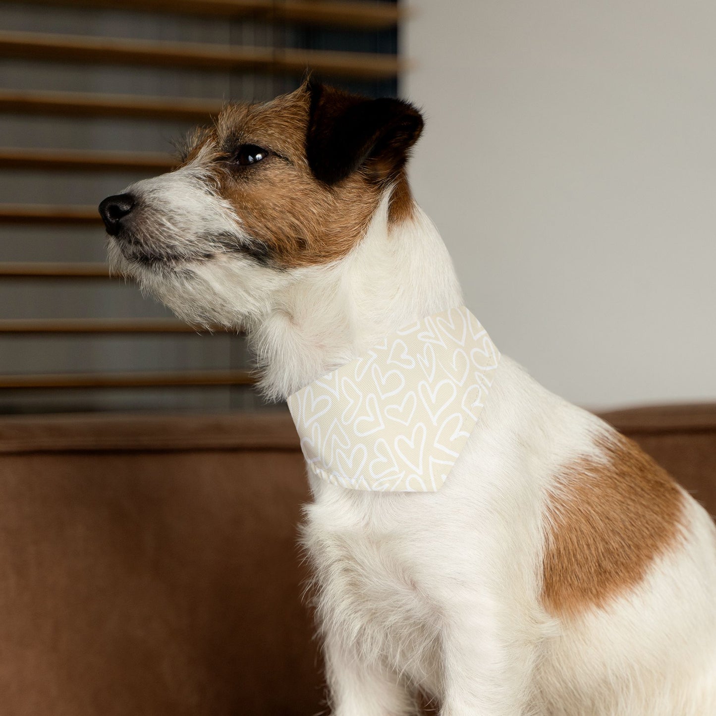 Bandana Collar