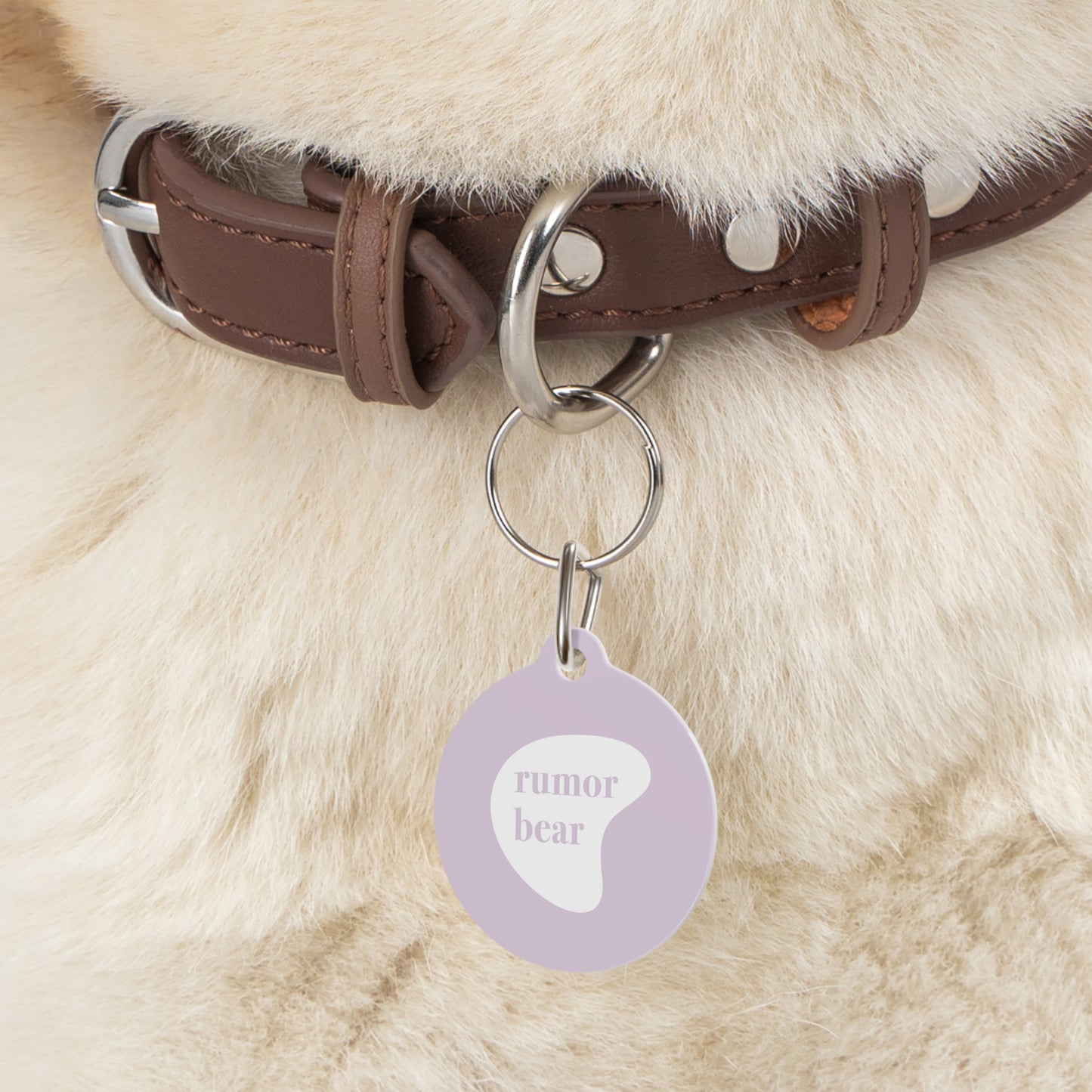 Pet Tag