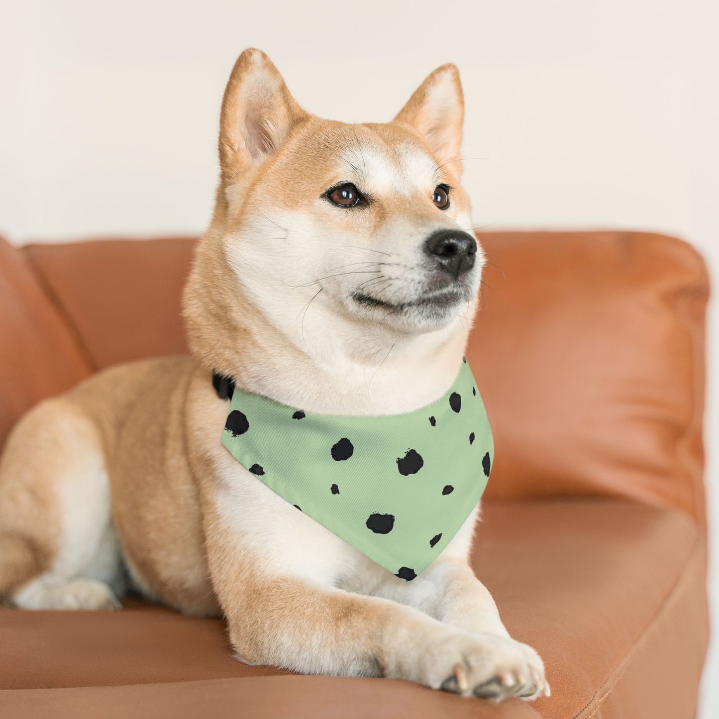 Bandana Collar