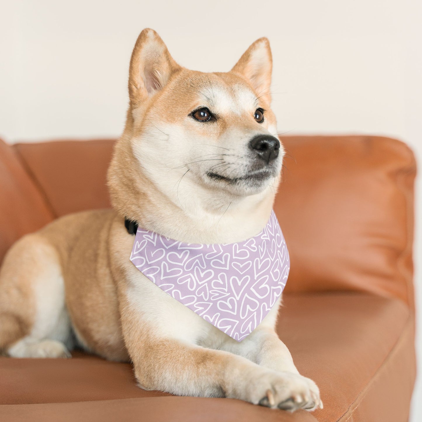 Bandana Collar